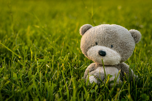 Dos And Don'ts of Washing Your Stuffed Animal