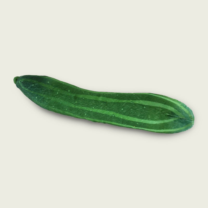 Cucumber Plushie Stuffed Vegetable Toy