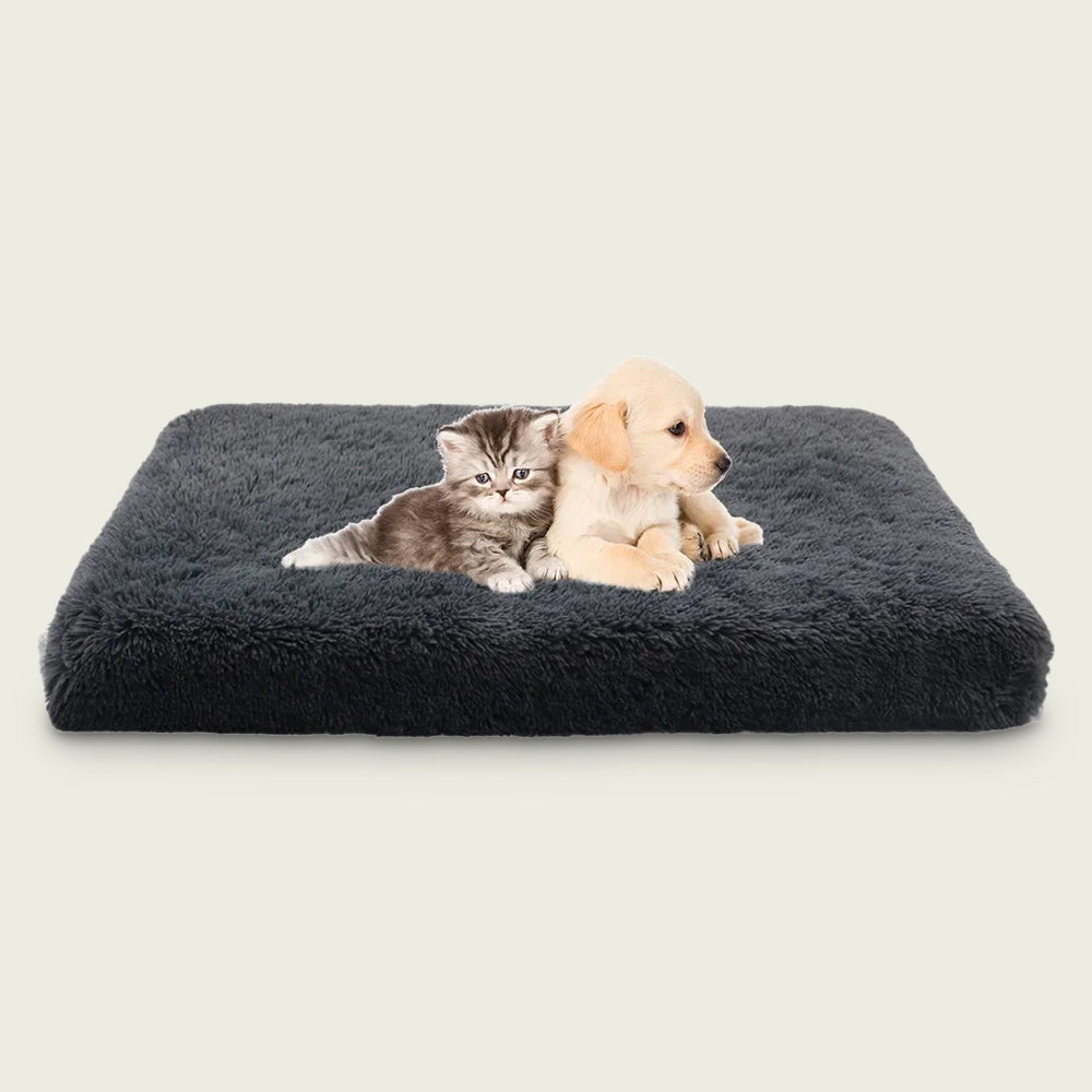 Flat Plush Pet Cushion