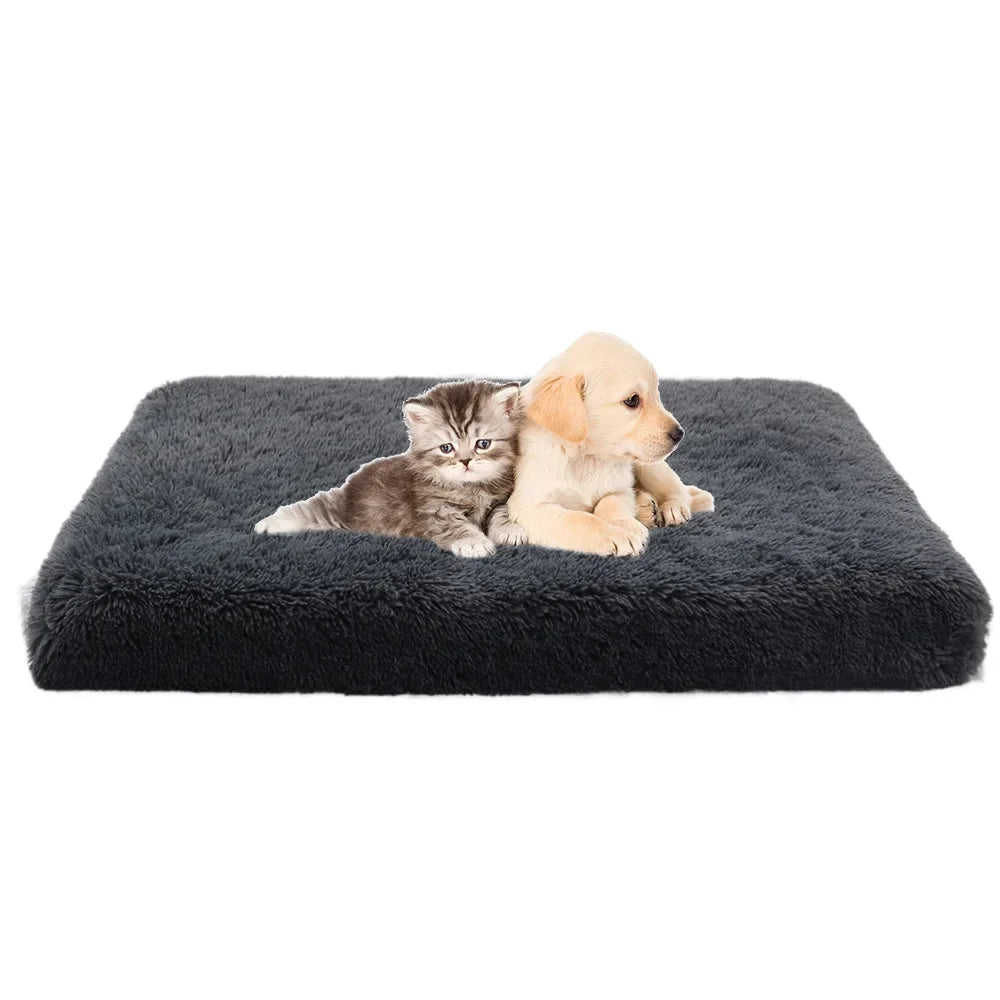 Flat Plush Pet Cushion