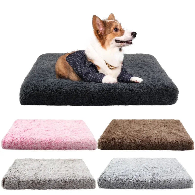 Flat Plush Pet Cushion