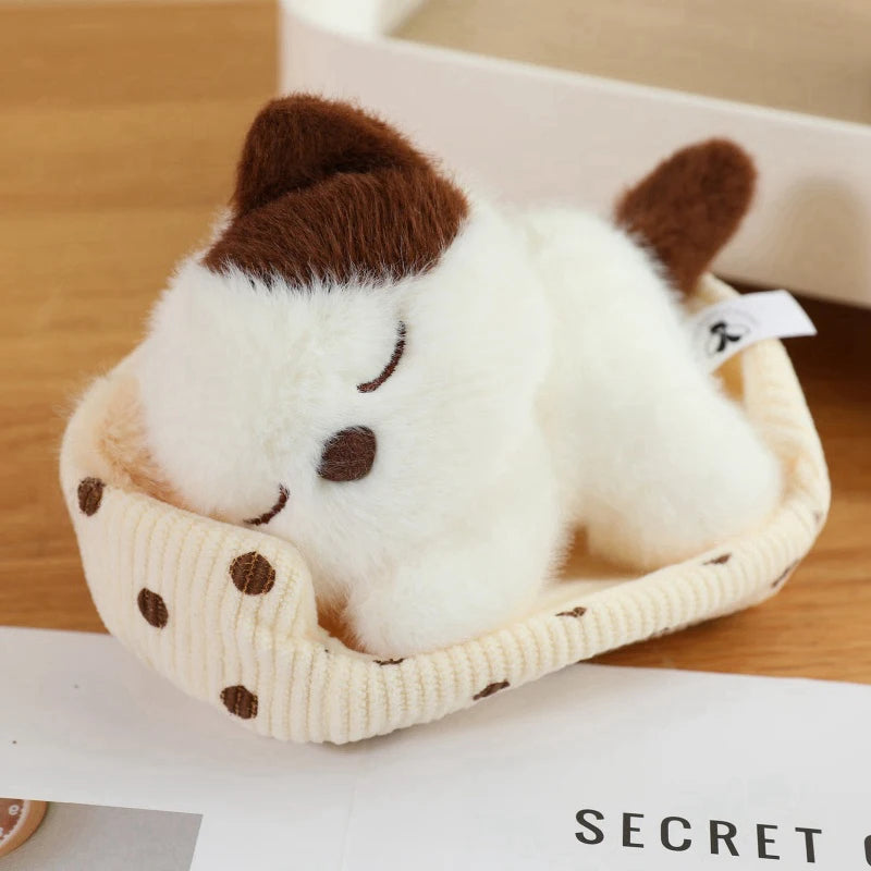 Baby Kitten Sleeping in Bed