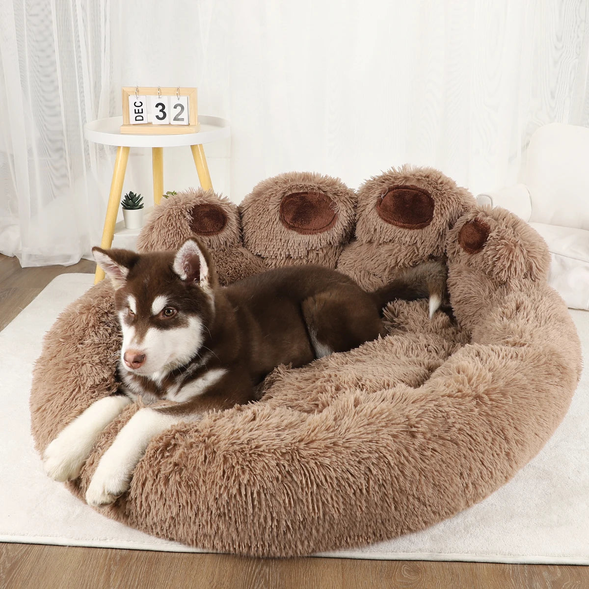 Dog Paw Plush Bed
