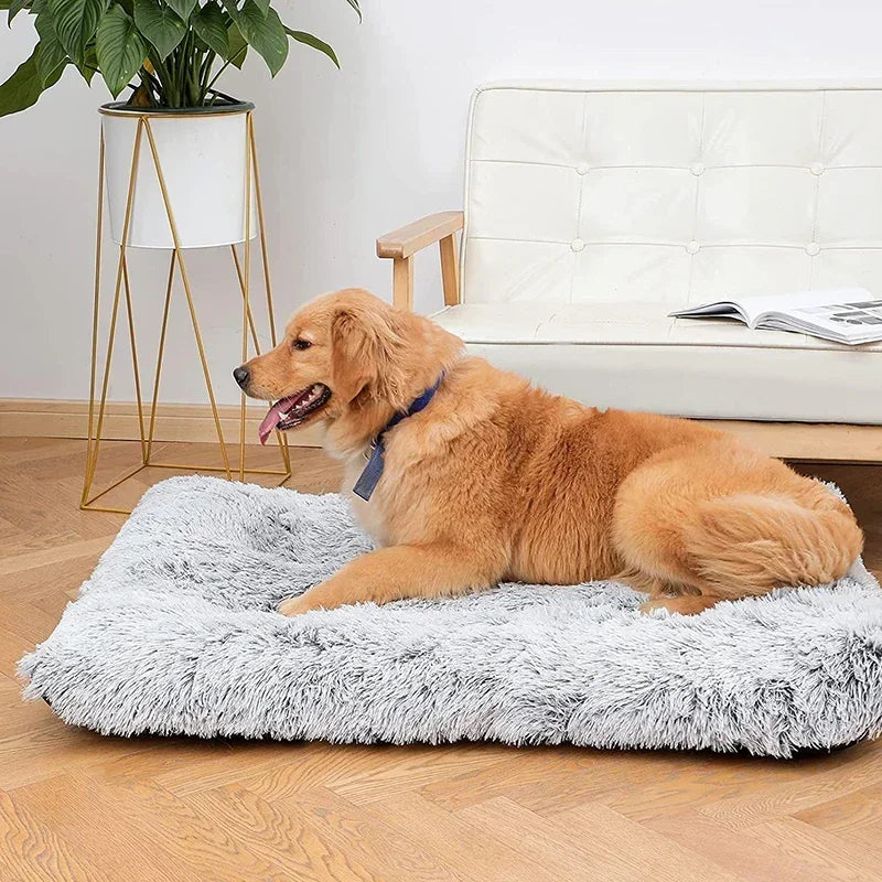Flat Plush Pet Cushion