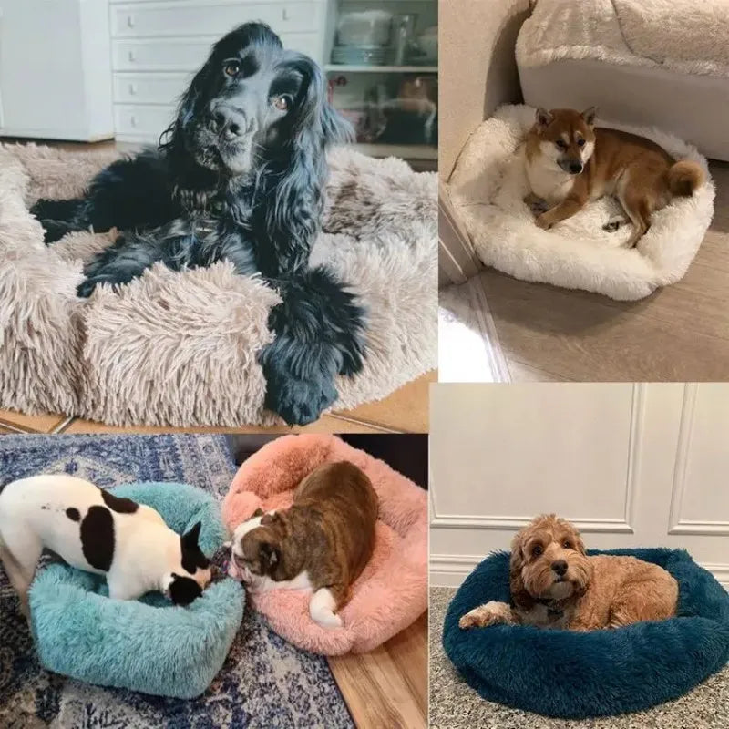 Rectangle Plush Dog/Cat Bed with Soft Lacy Frills