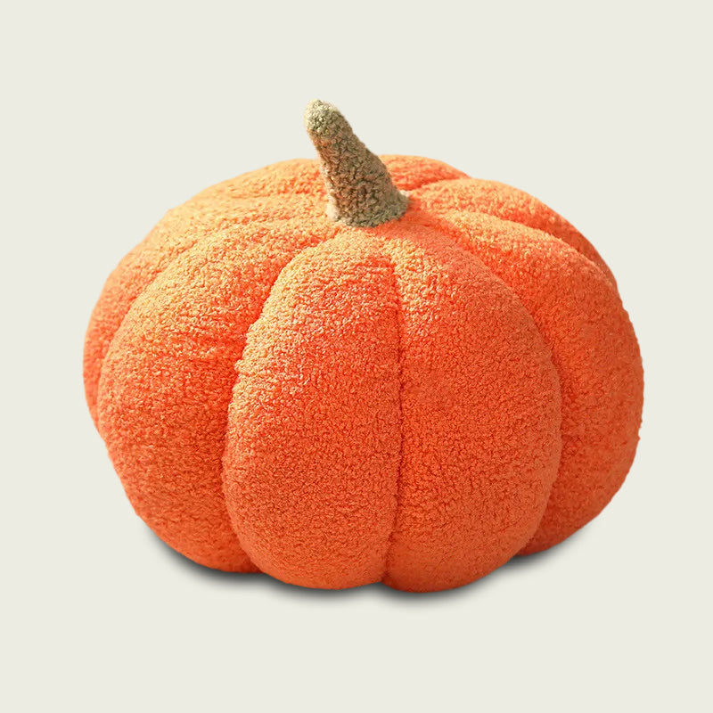 Orange Pumpkin Patch