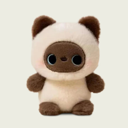 Tiny Siamese Kitten Tot