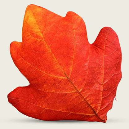 Red Maple Leaf Foliage Fluffy