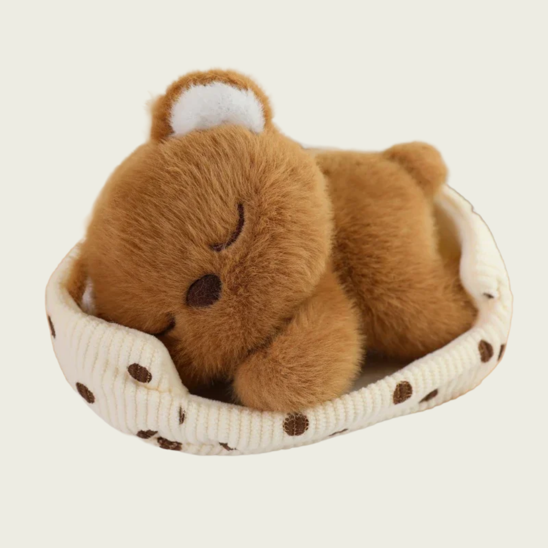 Baby Bear Sleeping in Bed