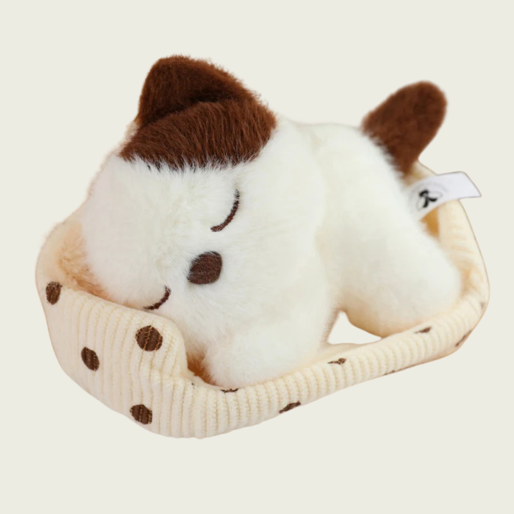 Baby Kitten Sleeping in Bed