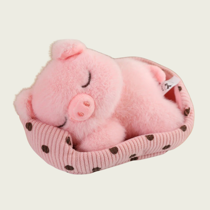Baby Piglet Sleeping in Bed