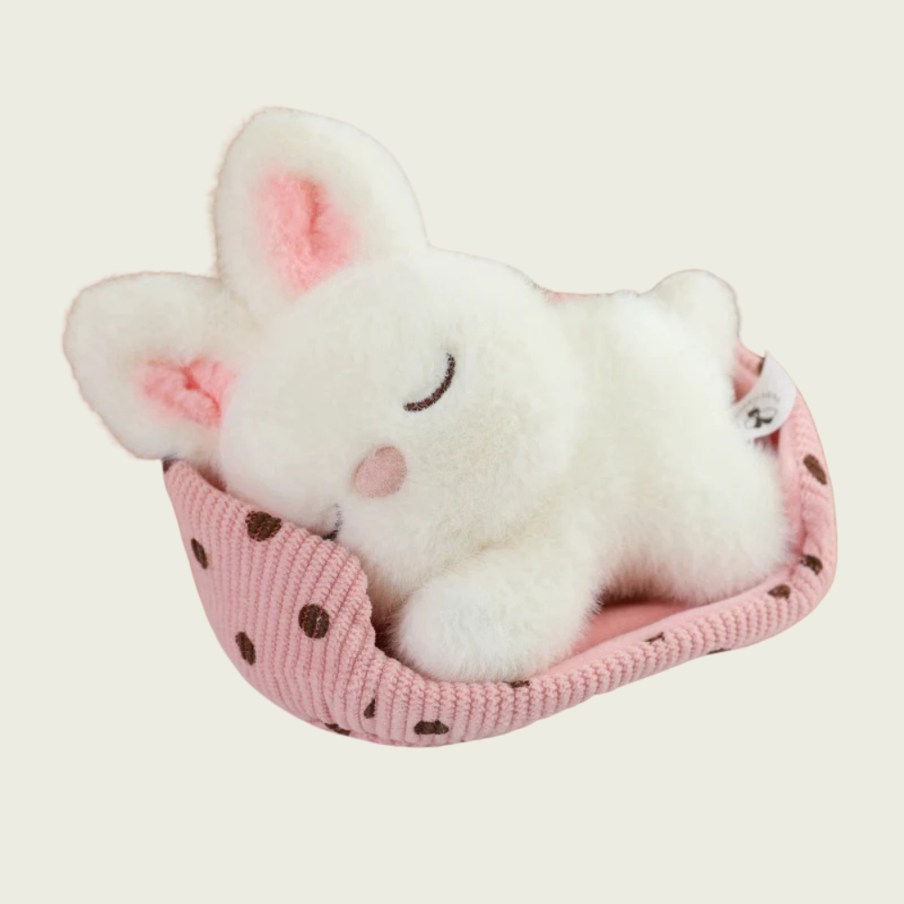 Baby Rabbit Sleeping in Bed