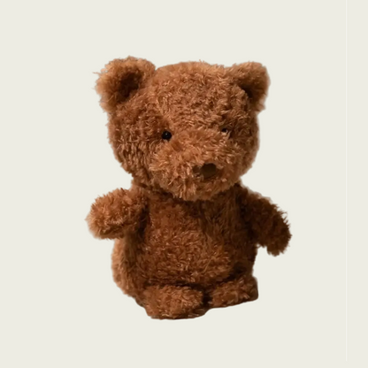 Bear Cub Furry Friend
