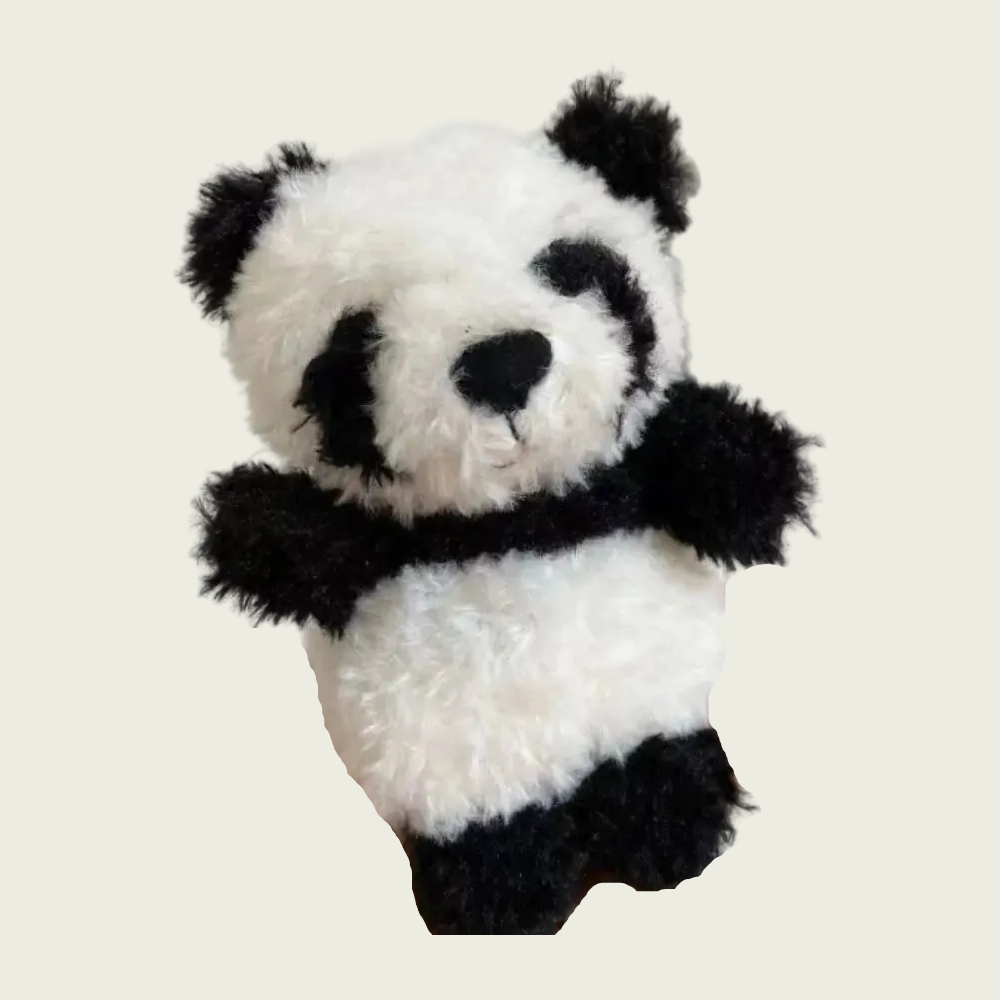 Panda Cub Furry Friend