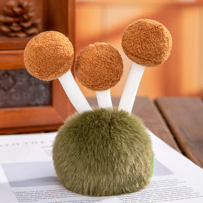 Beech Mushroom from Fluffy Fungi