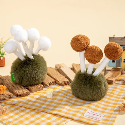 Beech Mushroom from Fluffy Fungi