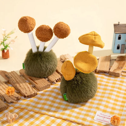 Beech Mushroom from Fluffy Fungi