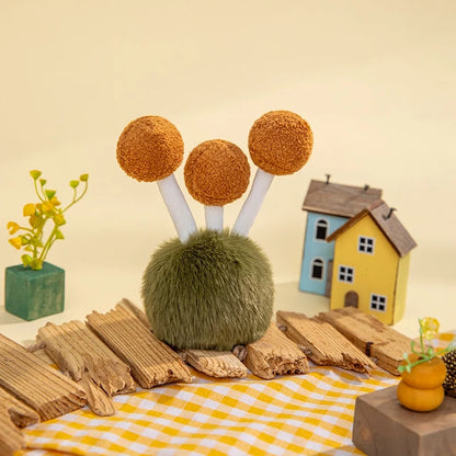 Beech Mushroom from Fluffy Fungi