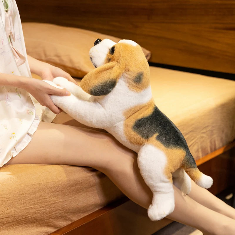 Beagle Puppy Anatomical Stuffed Animal