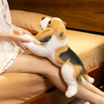 Beagle Puppy Anatomical Stuffed Animal