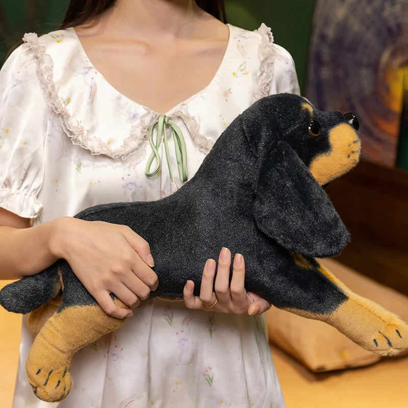 Rottweiler Puppy Anatomical Stuffed Animal