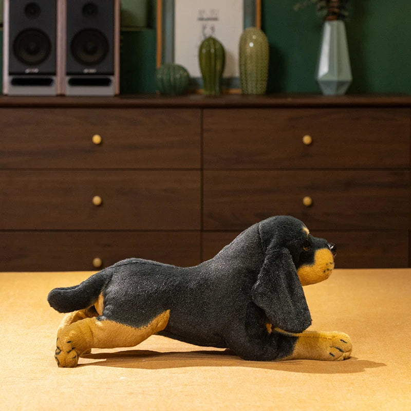 Rottweiler Puppy Anatomical Stuffed Animal