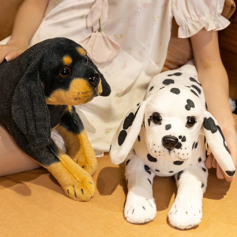 Dalmatian Puppy Anatomical Stuffed Animal