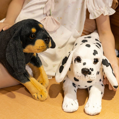 Dalmatian Puppy Anatomical Stuffed Animal