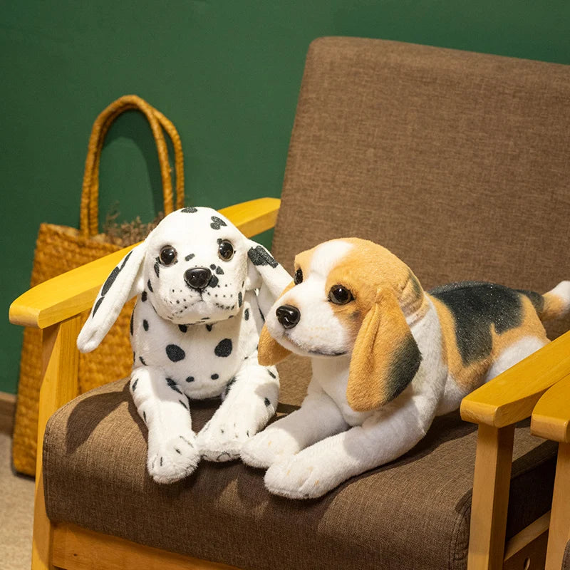 Dalmatian Puppy Anatomical Stuffed Animal