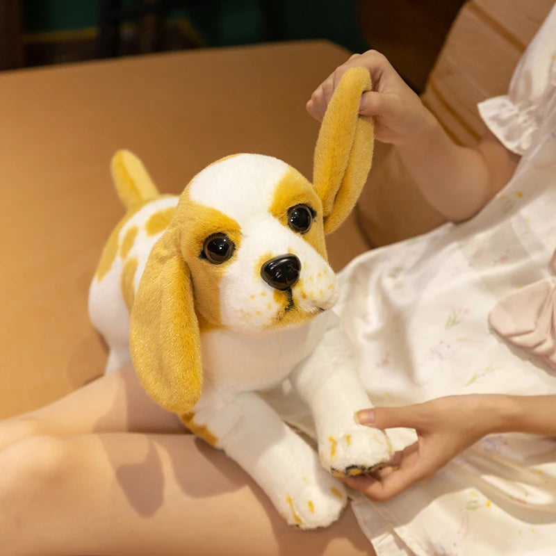 Cavalier King Charles Spaniel Puppy Anatomical Stuffed Animal