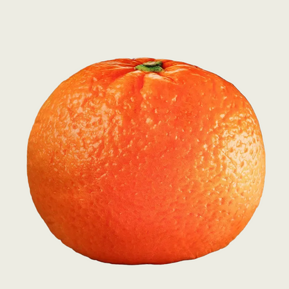 Orange Printed Fruit Plush Cushion