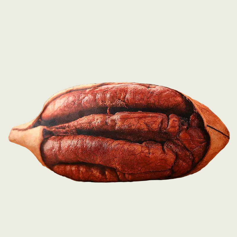 Pecan Plush Cushion