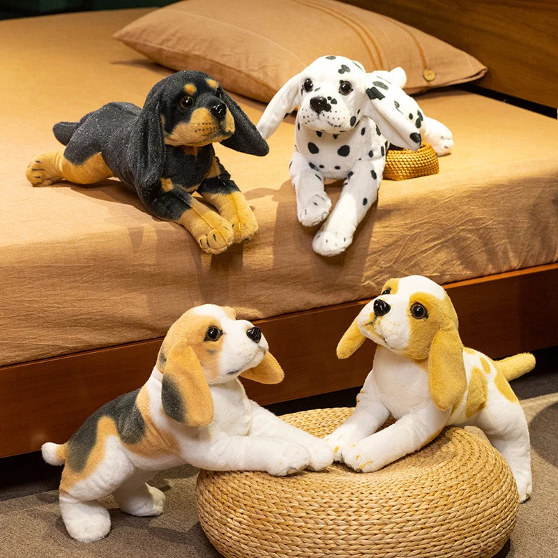 Dalmatian Puppy Anatomical Stuffed Animal