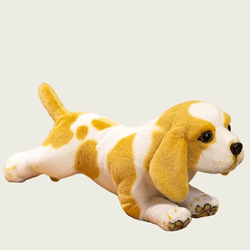Cavalier King Charles Spaniel Puppy Anatomical Stuffed Animal