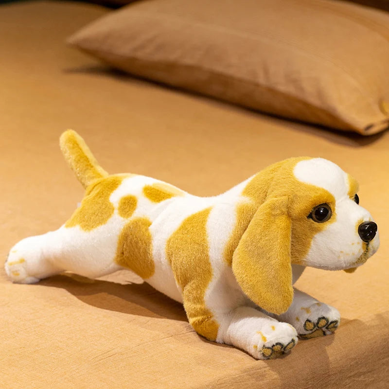 Cavalier King Charles Spaniel Puppy Anatomical Stuffed Animal