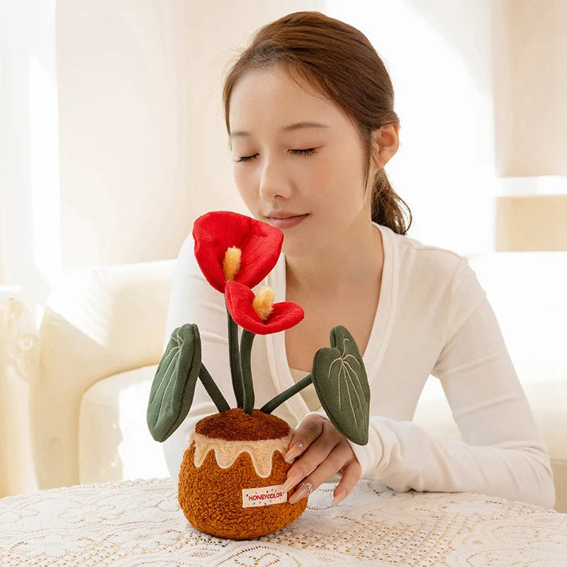 Anthurium Plant Plush