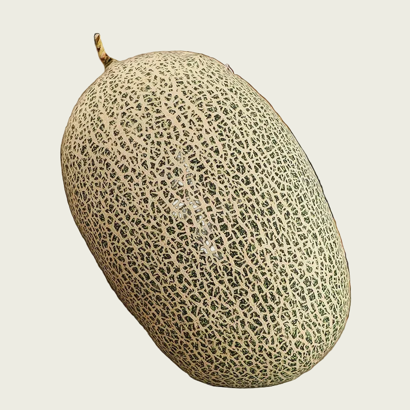Cantaloupe Printed Fruit Plush Cushion