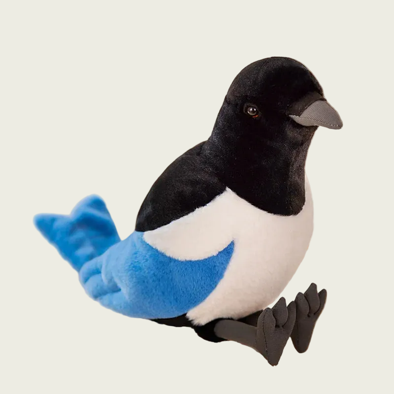 Magpie Fine Feathered Friends
