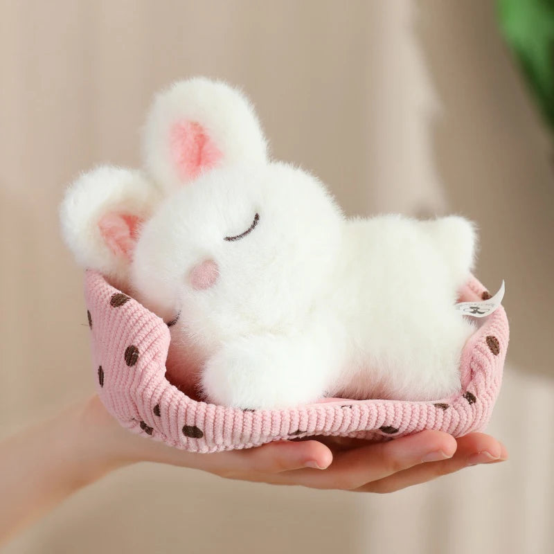 Baby Rabbit Sleeping in Bed