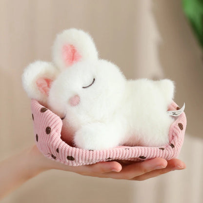 Baby Rabbit Sleeping in Bed
