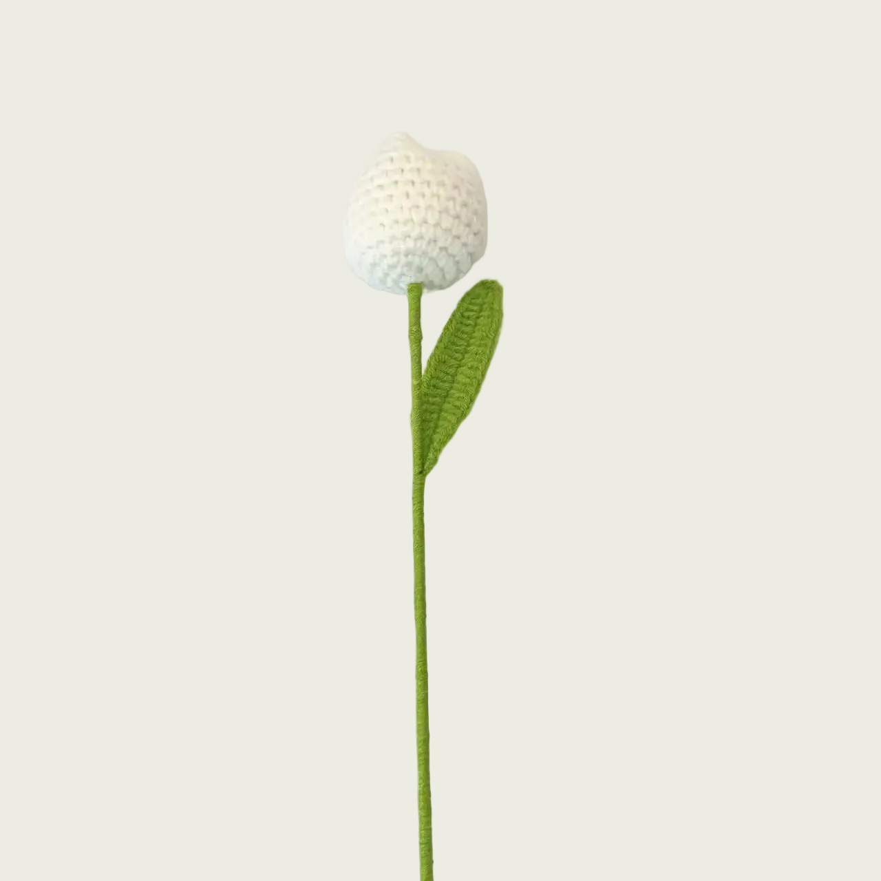 White Tulip Plush Florist