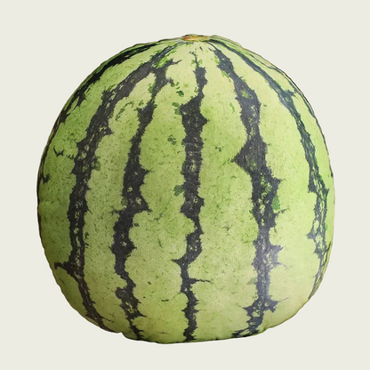 Watermelon Printed Fruit Plush Cushion