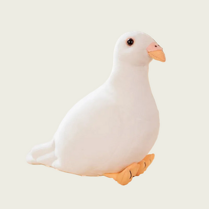 White Dove Fine Feathered Friends
