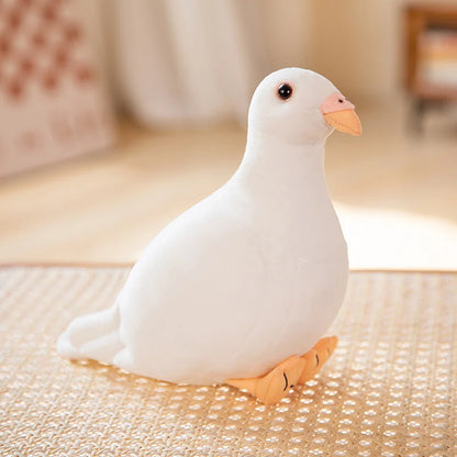 White Dove Fine Feathered Friends