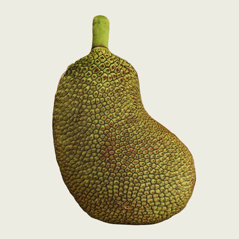 Jackfruit Printed Fruit Plush Cushion