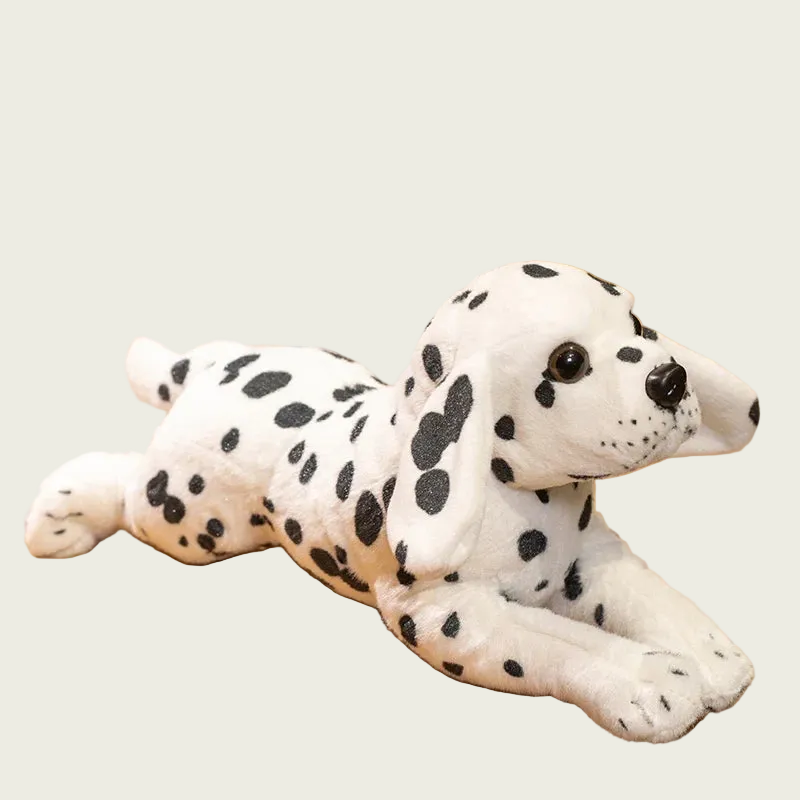 Dalmatian Puppy Anatomical Stuffed Animal
