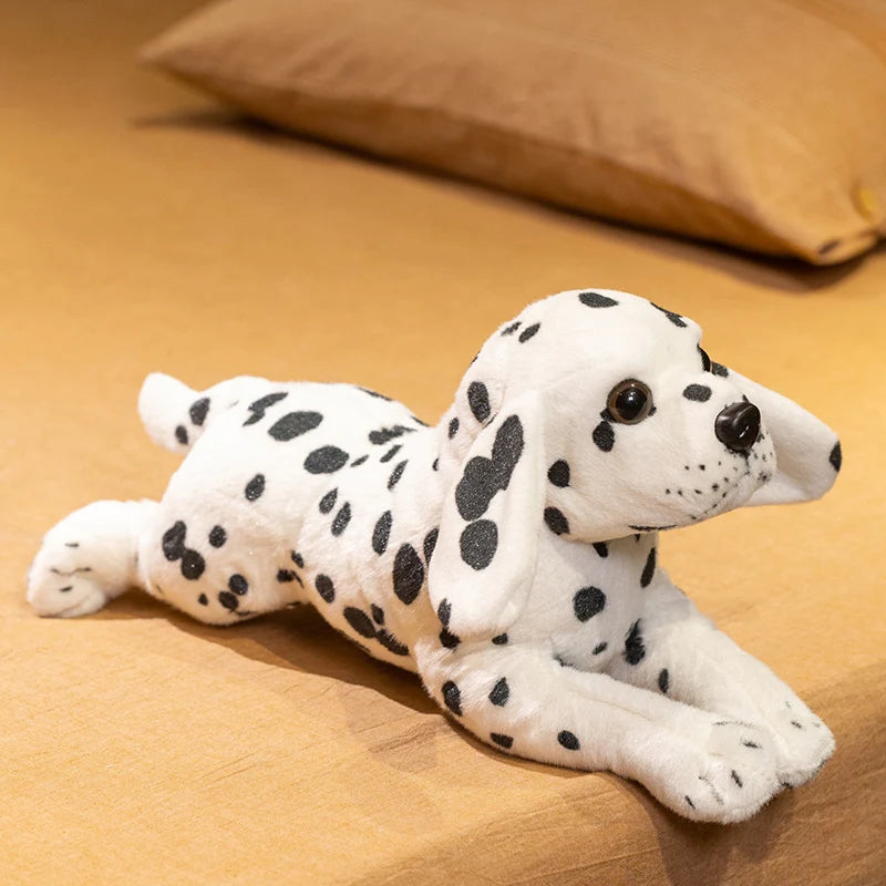 Dalmatian Puppy Anatomical Stuffed Animal