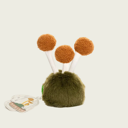 Beech Mushroom from Fluffy Fungi