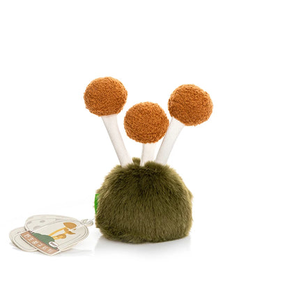 Beech Mushroom from Fluffy Fungi