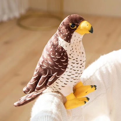 Golden Eagle Fine Feathered Friends
